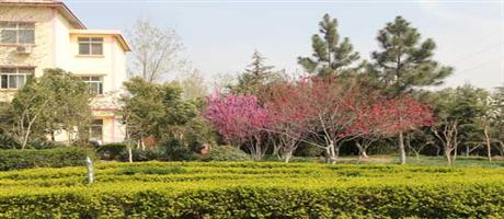登录入口春景（四）